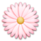 Blossom emoji on LG