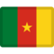 Cameroon emoji on Facebook
