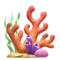 Coral emoji on Apple