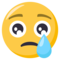 Crying Face emoji | 😢 meaning