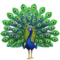 Peacock emoji on Apple
